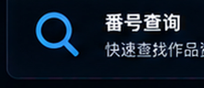 番号本编号格式